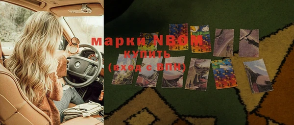 прущие грибы Баксан
