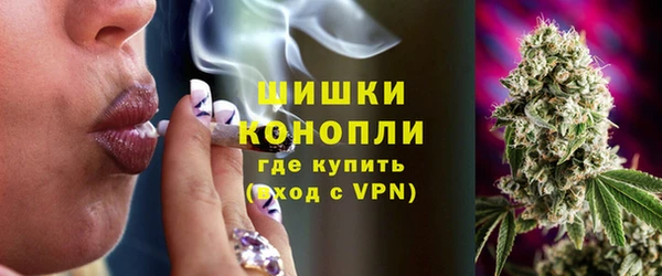 прущие грибы Баксан