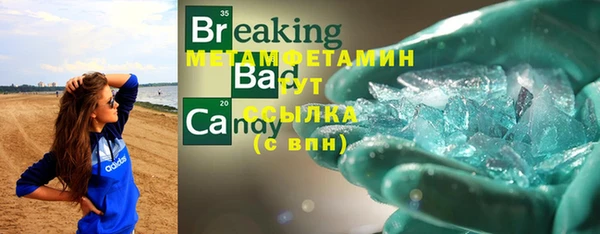 прущие грибы Баксан