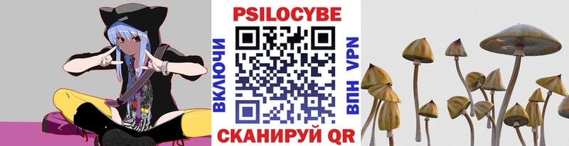 Псилоцибиновые грибы GOLDEN TEACHER  Черногорск 